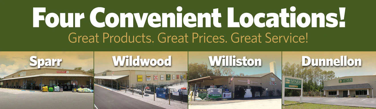 Welcome to Our Store