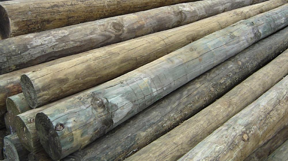 LANGDALE FOREST PRODUCTS